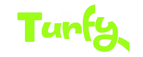 Playturfy Logo
